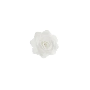 Óriás fehér rózsa ostyavirág