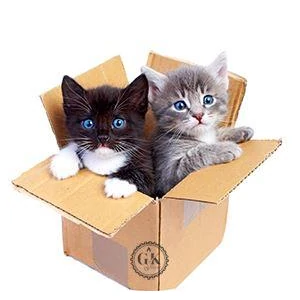 Kiscicák dobozban tortaostya