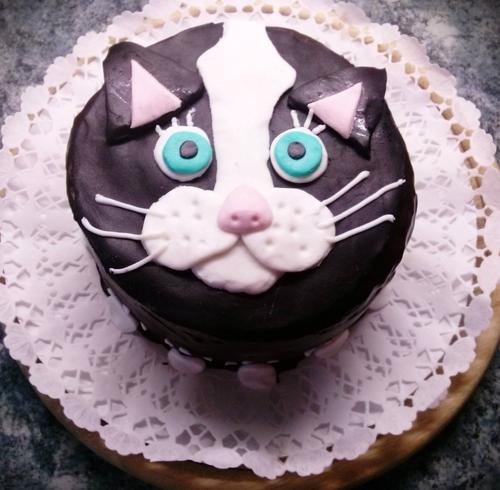 Cicafej torta