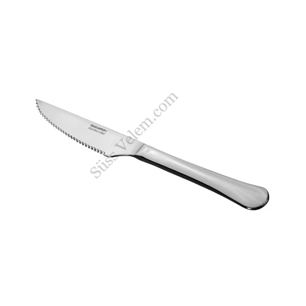 TESCOMA CLASSIC 2 db Stake kés
