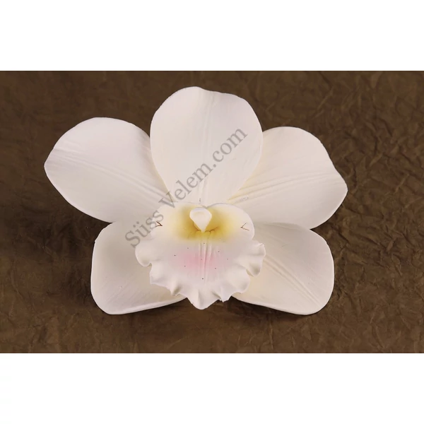 9 db fehér óriás orchidea cukorvirág (nem ehető)