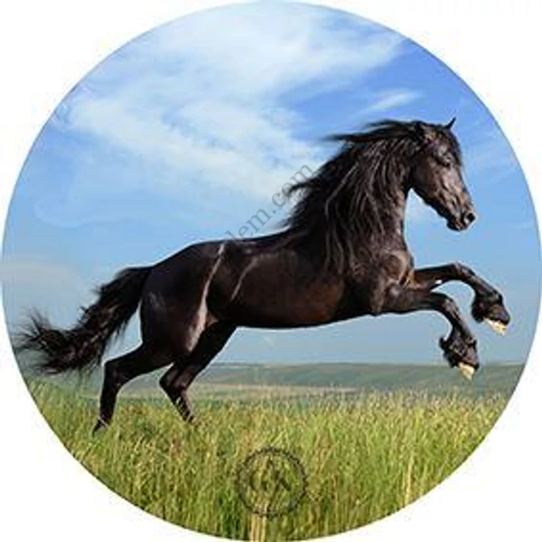 Fekete ló tortaostya