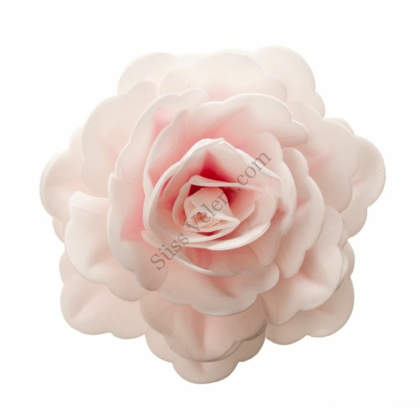 Óriás fehér rózsa ostyavirág