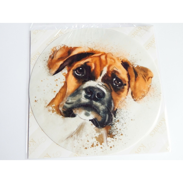 Boxer rajzolt kutyafej ostya 20 cm