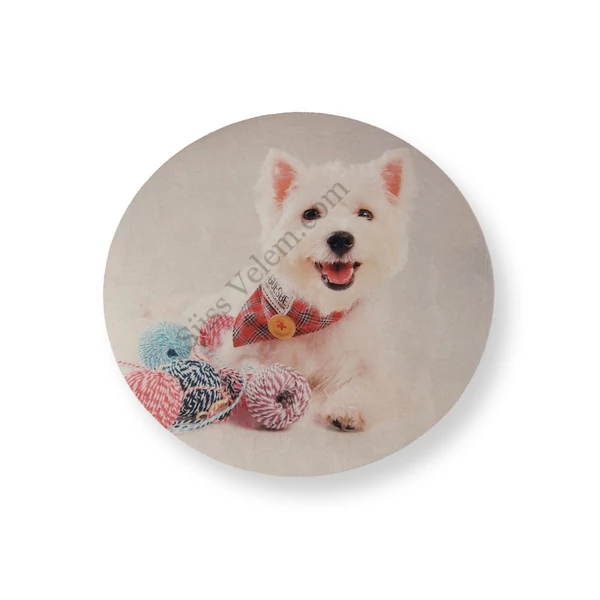 Westie kutya tortaostya