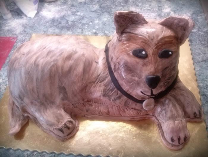 kutyus torta